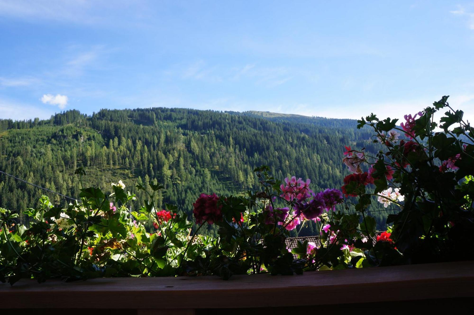 Haus Dorfblick Hotel Gerlos Exterior photo
